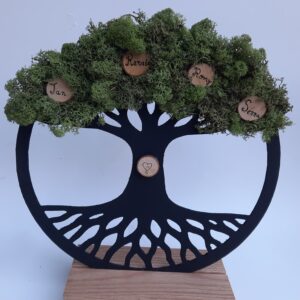 DIY pakket mosschilderij levensboom maken