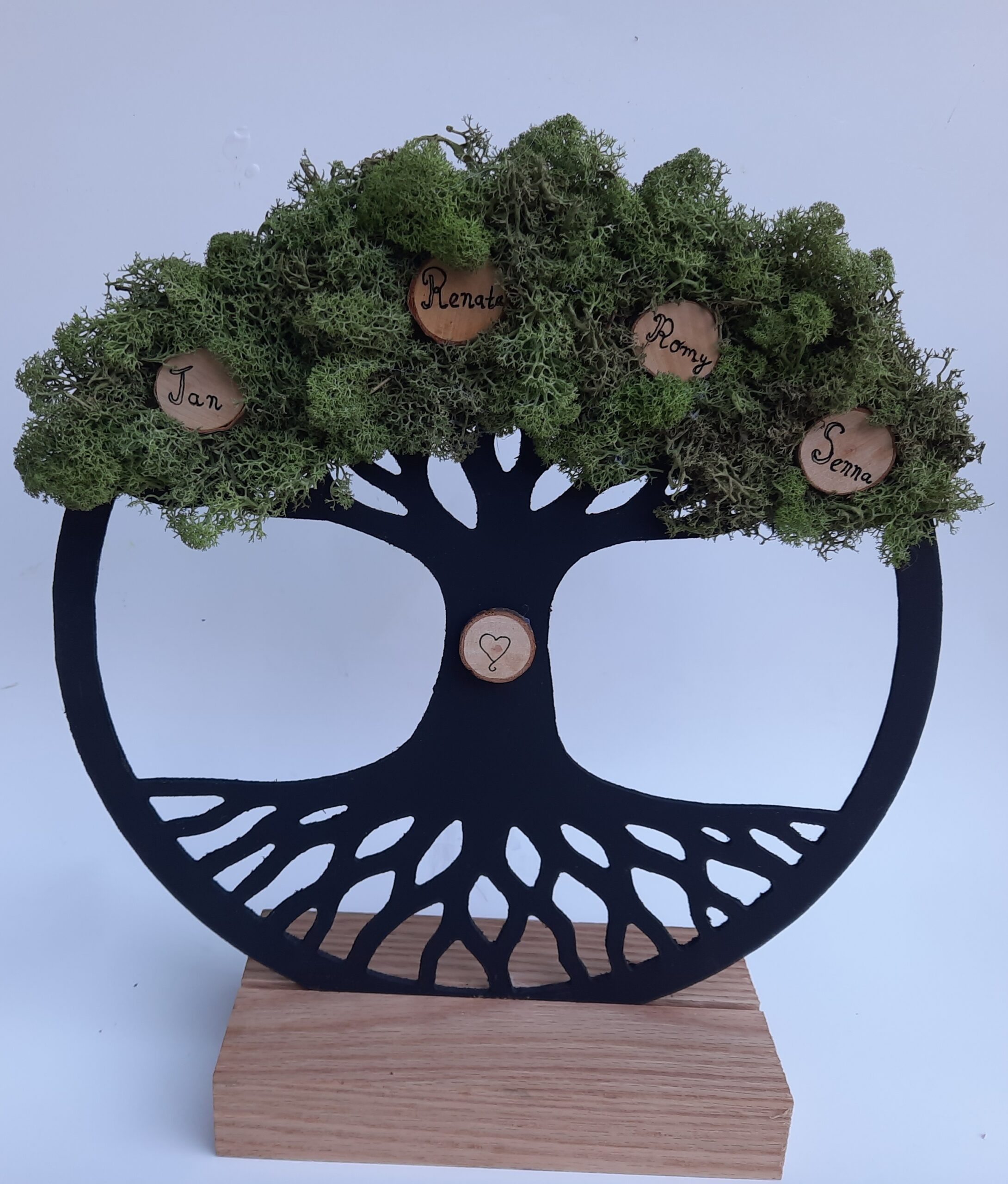 DIY pakket mosschilderij levensboom maken