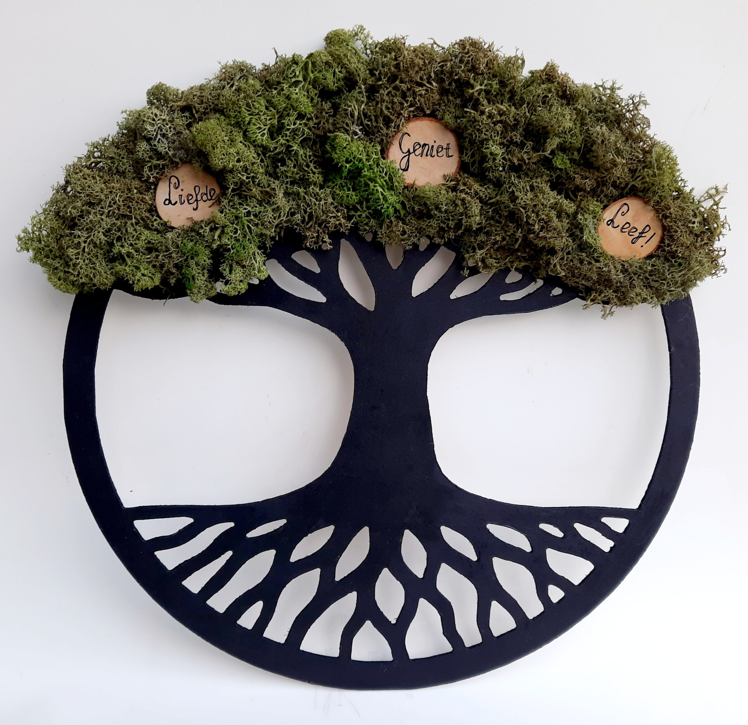 DIY pakket mosschilderij levensboom maken - Afbeelding 2